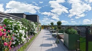 760_chapter at eugene_cardinal group_rooftop_giftes_stills