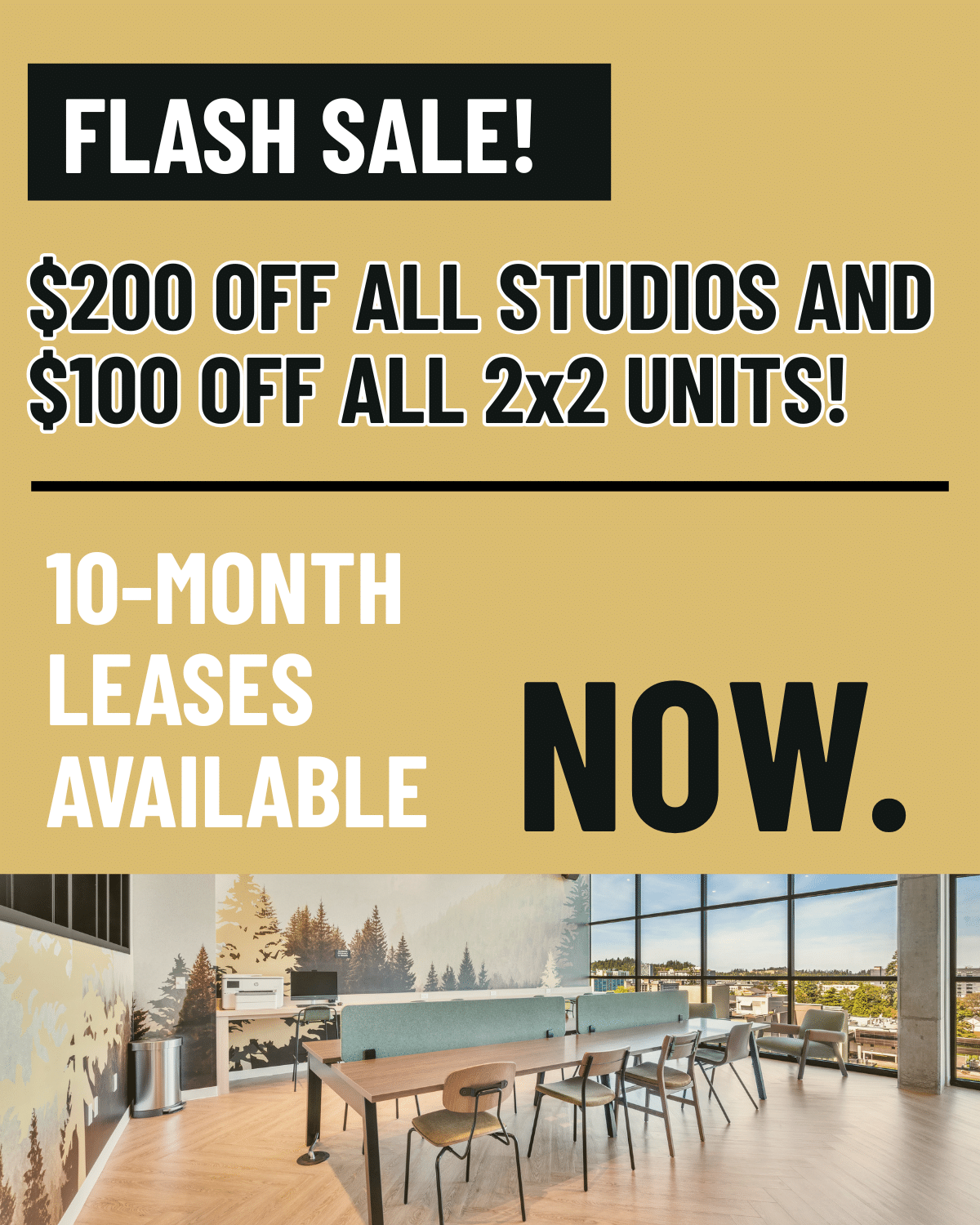 Flash sale popup