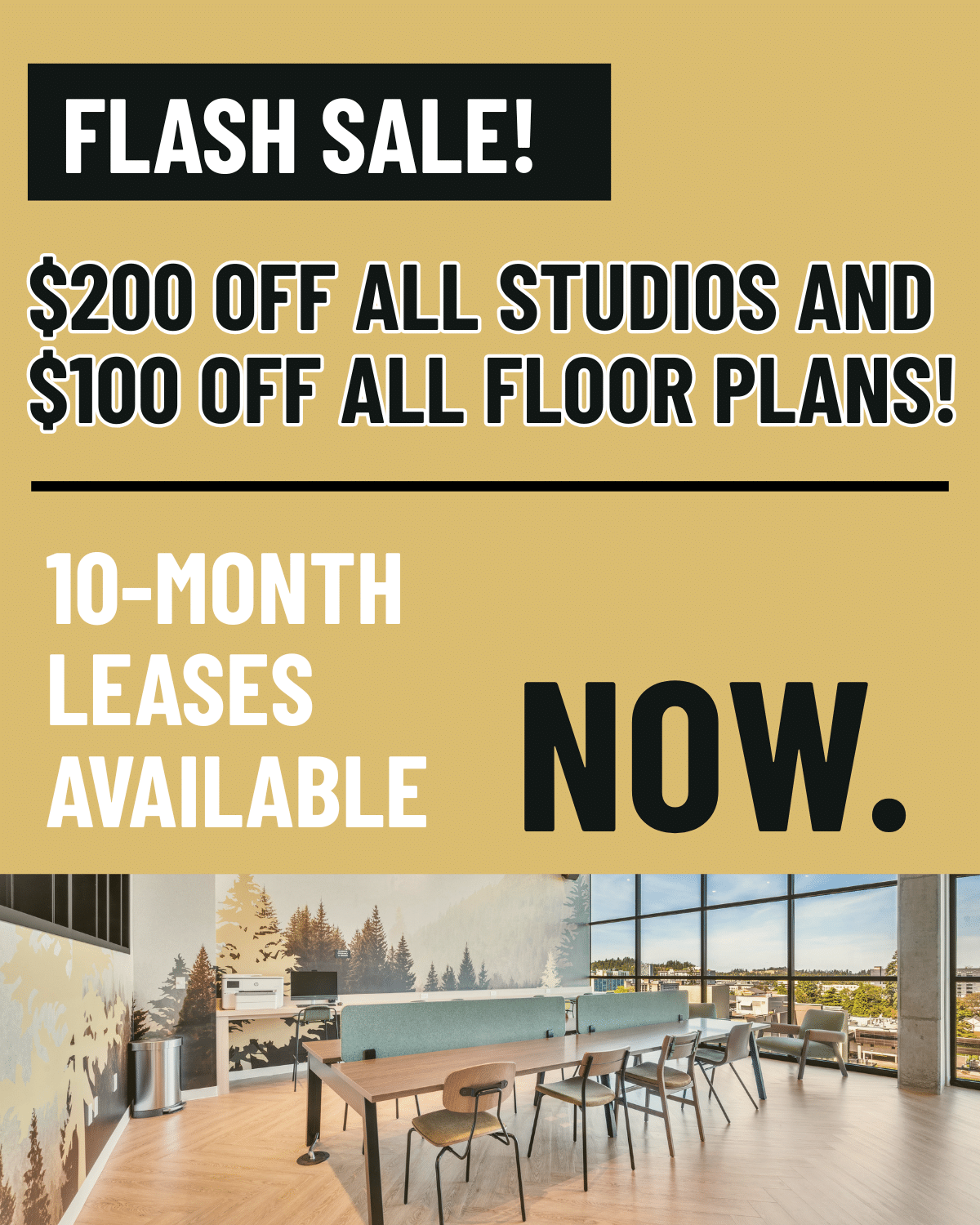 Flash sale popup